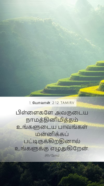 1 யோவான் 2:12 TAMIRV Bible Verse Image