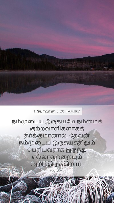 1 யோவான் 3:20 TAMIRV Bible Verse Image