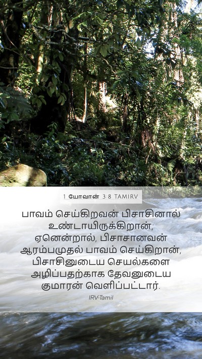 1 யோவான் 3:8 TAMIRV Bible Verse Image