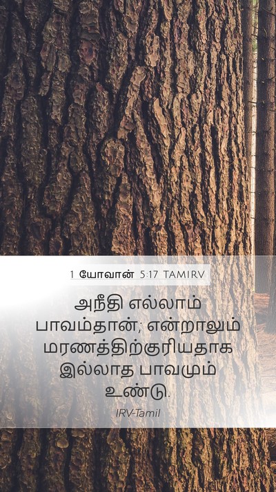 1 யோவான் 5:17 TAMIRV Bible Verse Image