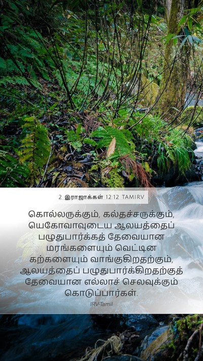 2 இராஜாக்கள் 12:12 TAMIRV Bible Verse Image