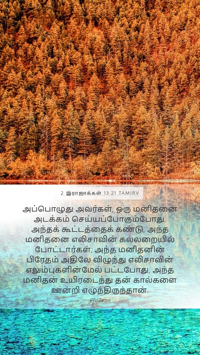 2 இராஜாக்கள் 13:21 TAMIRV Bible Verse Image