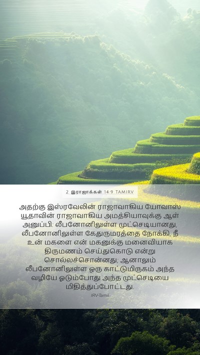 2 இராஜாக்கள் 14:9 TAMIRV Bible Verse Image