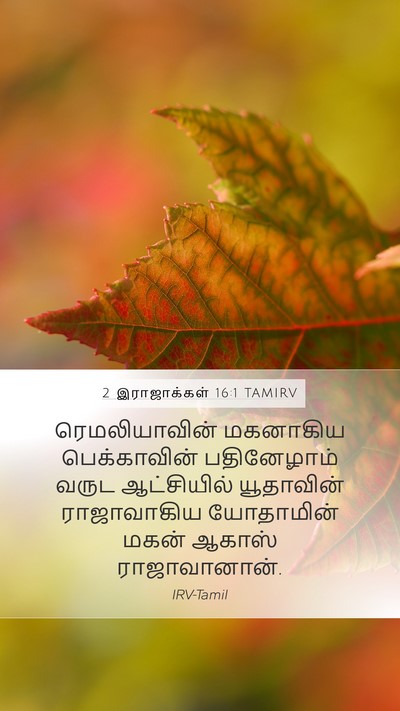 2 இராஜாக்கள் 16:1 TAMIRV Bible Verse Image