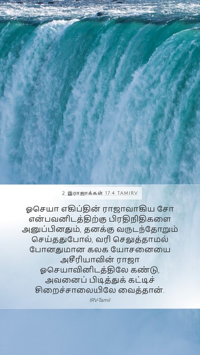 2 இராஜாக்கள் 17:4 TAMIRV Bible Verse Image