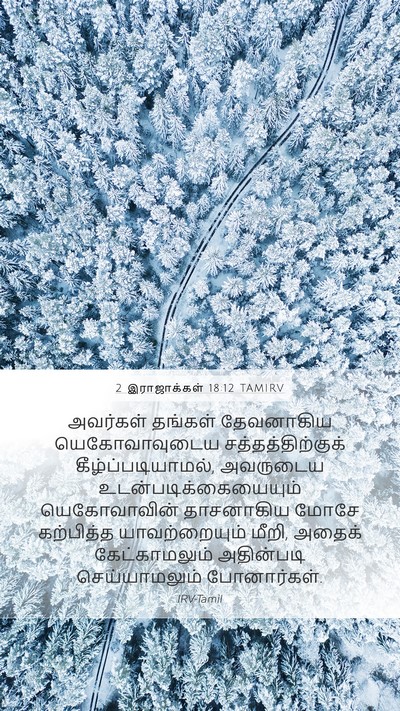 2 இராஜாக்கள் 18:12 TAMIRV Bible Verse Image
