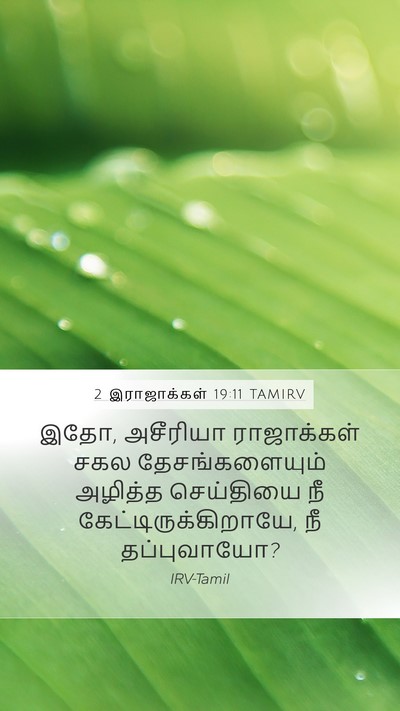 2 இராஜாக்கள் 19:11 TAMIRV Mobile Phone Wallpaper - இதோ, அசீரியா - Mobile Bible Verse Wallpaper