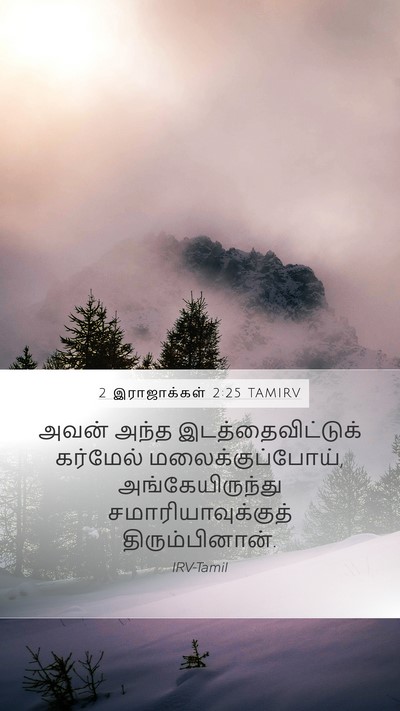 2 இராஜாக்கள் 2:25 TAMIRV Bible Verse Image