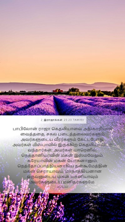 2 இராஜாக்கள் 25:23 TAMIRV Bible Verse Image
