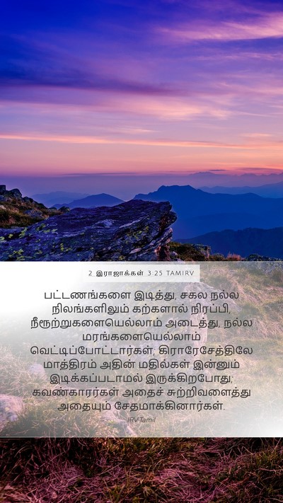 2 இராஜாக்கள் 3:25 TAMIRV Bible Verse Image