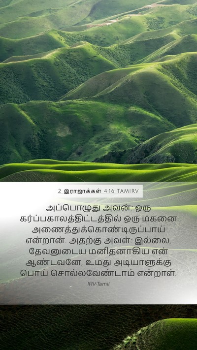2 இராஜாக்கள் 4:16 TAMIRV Bible Verse Image