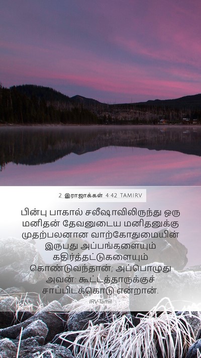 2 இராஜாக்கள் 4:42 TAMIRV Bible Verse Image