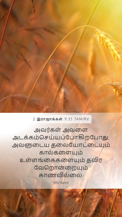 2 இராஜாக்கள் 9:35 TAMIRV Mobile Phone Wallpaper - அவர்கள் அவளை - Mobile Bible Verse Wallpaper