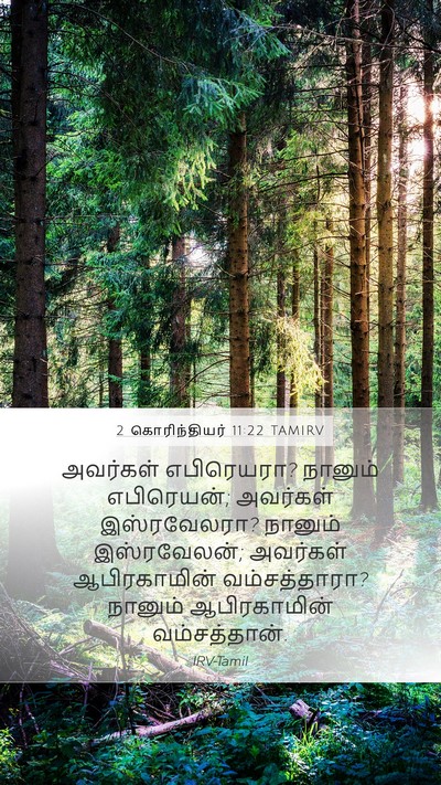 2 கொரிந்தியர் 11:22 TAMIRV Bible Verse Image