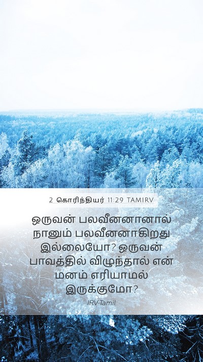 2 கொரிந்தியர் 11:29 TAMIRV Bible Verse Image