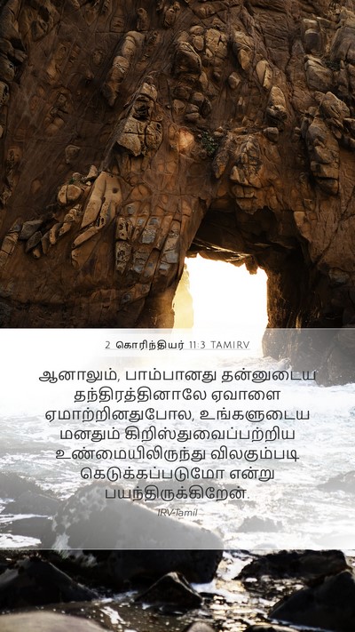 2 கொரிந்தியர் 11:3 TAMIRV Bible Verse Image