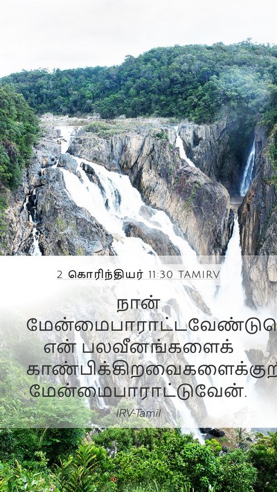 2 கொரிந்தியர் 11:30 TAMIRV Bible Verse Image