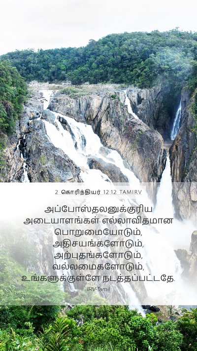 2 கொரிந்தியர் 12:12 TAMIRV Bible Verse Image