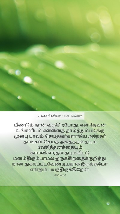 2 கொரிந்தியர் 12:21 TAMIRV Bible Verse Image