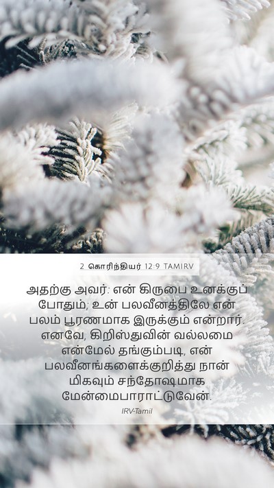 2 கொரிந்தியர் 12:9 TAMIRV Bible Verse Image