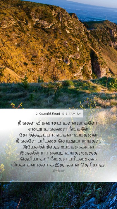 2 கொரிந்தியர் 13:5 TAMIRV Bible Verse Image