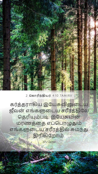 2 கொரிந்தியர் 4:10 TAMIRV Bible Verse Image