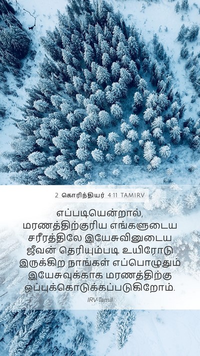 2 கொரிந்தியர் 4:11 TAMIRV Mobile Phone Wallpaper - எப்படியென்றால், - Mobile Bible Verse Wallpaper