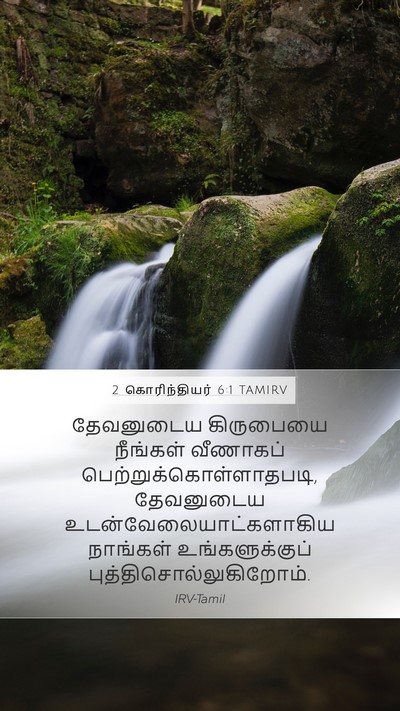 2 கொரிந்தியர் 6:1 TAMIRV Bible Verse Image