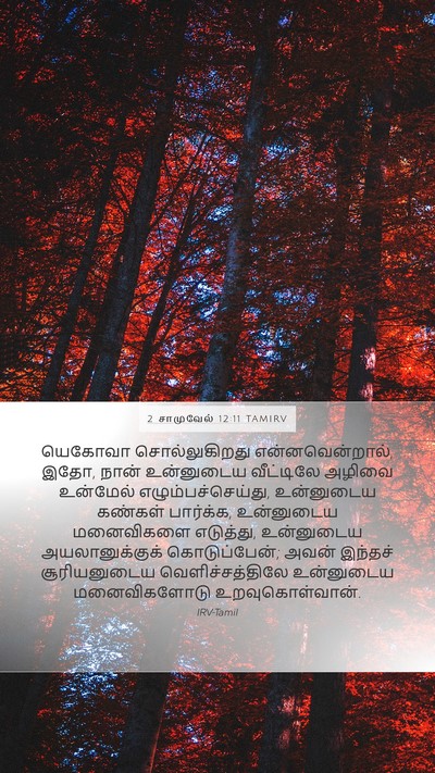 2 சாமுவேல் 12:11 TAMIRV Mobile Phone Wallpaper - யெகோவா - Mobile Bible Verse Wallpaper