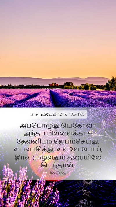 2 சாமுவேல் 12:16 TAMIRV Bible Verse Image