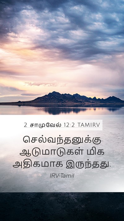2 சாமுவேல் 12:2 TAMIRV Mobile Phone Wallpaper - செல்வந்தனுக்கு - Mobile Bible Verse Wallpaper