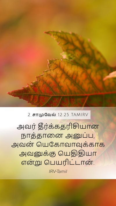 2 சாமுவேல் 12:25 TAMIRV Bible Verse Image
