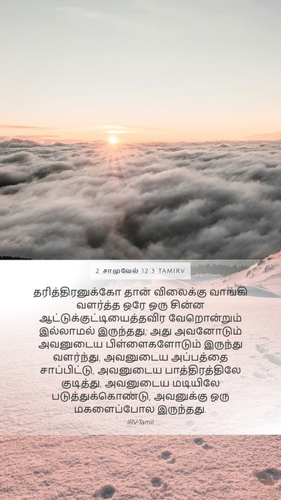 2 சாமுவேல் 12:3 TAMIRV Mobile Phone Wallpaper - தரித்திரனுக்கோ - Mobile Bible Verse Wallpaper