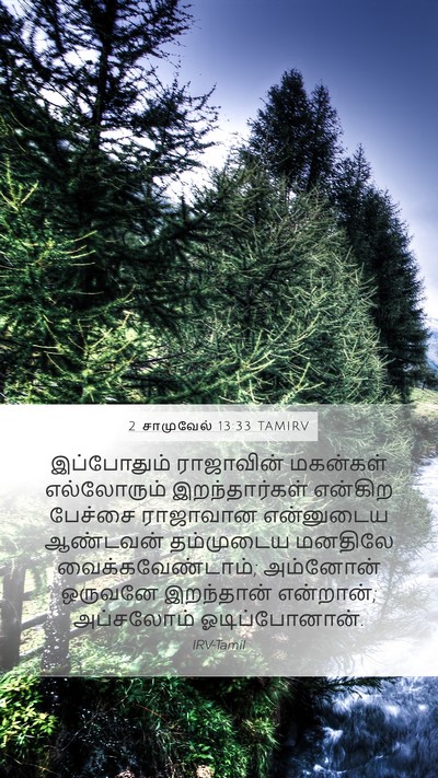 2 சாமுவேல் 13:33 TAMIRV Bible Verse Image