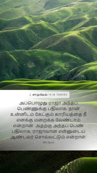 2 சாமுவேல் 14:18 TAMIRV Mobile Phone Wallpaper - அப்பொழுது ராஜா - Mobile Bible Verse Wallpaper