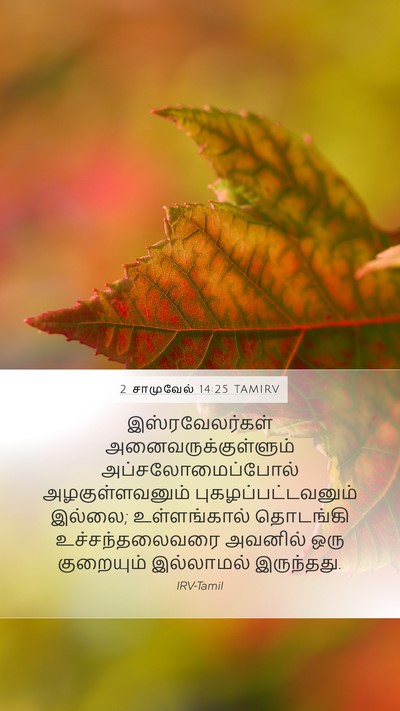2 சாமுவேல் 14:25 TAMIRV Mobile Phone Wallpaper - இஸ்ரவேலர்கள் - Mobile Bible Verse Wallpaper