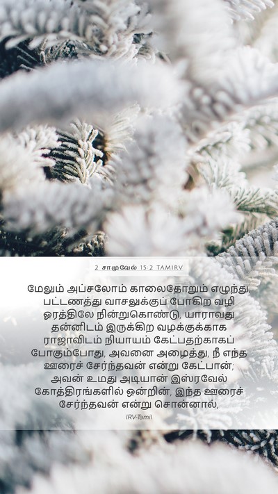 2 சாமுவேல் 15:2 TAMIRV Mobile Phone Wallpaper - மேலும் அப்சலோம் - Mobile Bible Verse Wallpaper