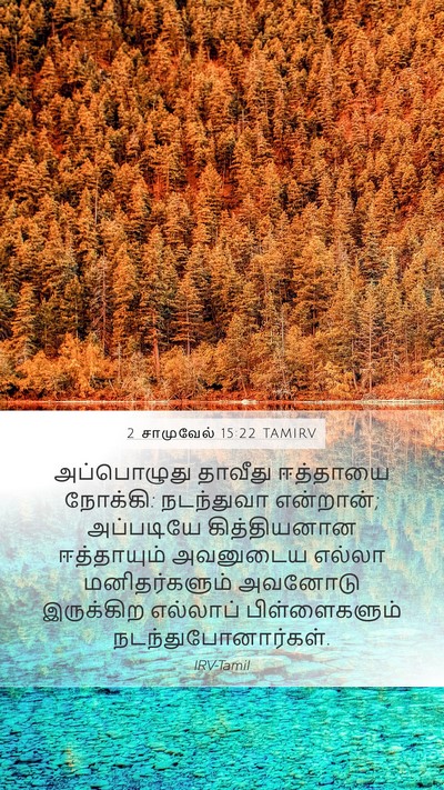 2 சாமுவேல் 15:22 TAMIRV Mobile Phone Wallpaper - அப்பொழுது தாவீது - Mobile Bible Verse Wallpaper