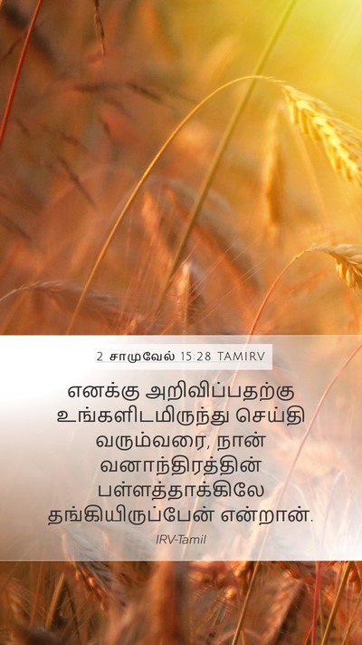 2 சாமுவேல் 15:28 TAMIRV Bible Verse Image