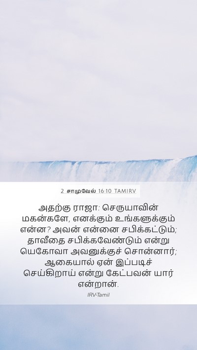 2 சாமுவேல் 16:10 TAMIRV Bible Verse Image
