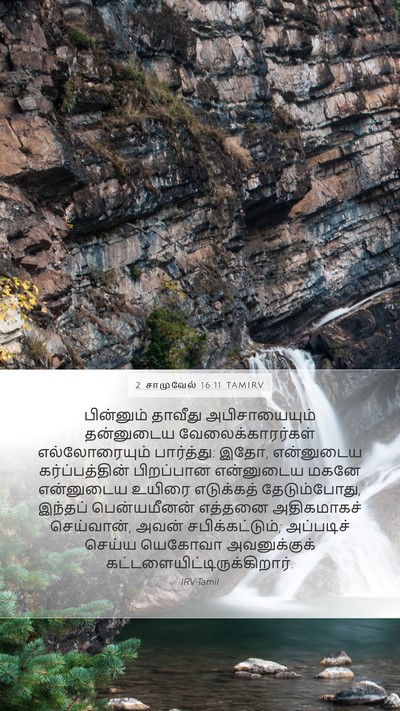 2 சாமுவேல் 16:11 TAMIRV Bible Verse Image
