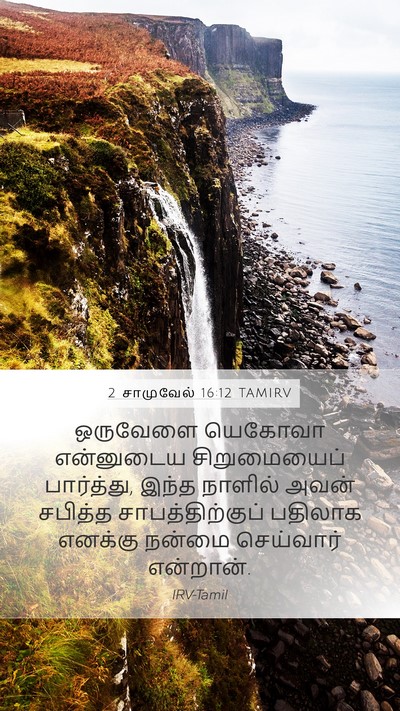 2 சாமுவேல் 16:12 TAMIRV Bible Verse Image