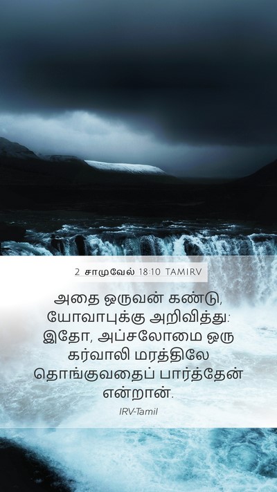 2 சாமுவேல் 18:10 TAMIRV Mobile Phone Wallpaper - அதை ஒருவன் கண்டு, - Mobile Bible Verse Wallpaper