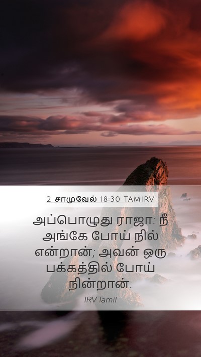 2 சாமுவேல் 18:30 TAMIRV Mobile Phone Wallpaper - அப்பொழுது ராஜா: நீ - Mobile Bible Verse Wallpaper