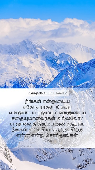 2 சாமுவேல் 19:12 TAMIRV Bible Verse Image