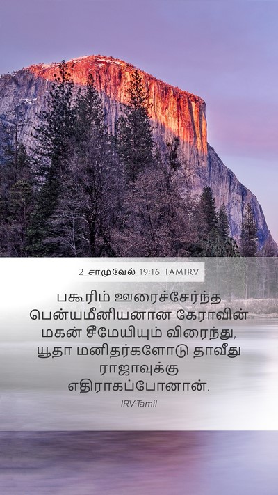 2 சாமுவேல் 19:16 TAMIRV Bible Verse Image
