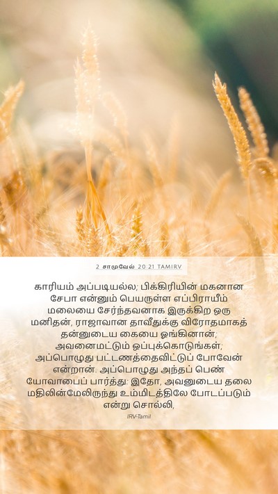 2 சாமுவேல் 20:21 TAMIRV Bible Verse Image