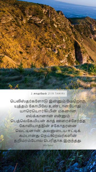 2 சாமுவேல் 21:19 TAMIRV Mobile Phone Wallpaper - பெலிஸ்தர்களோடு - Mobile Bible Verse Wallpaper