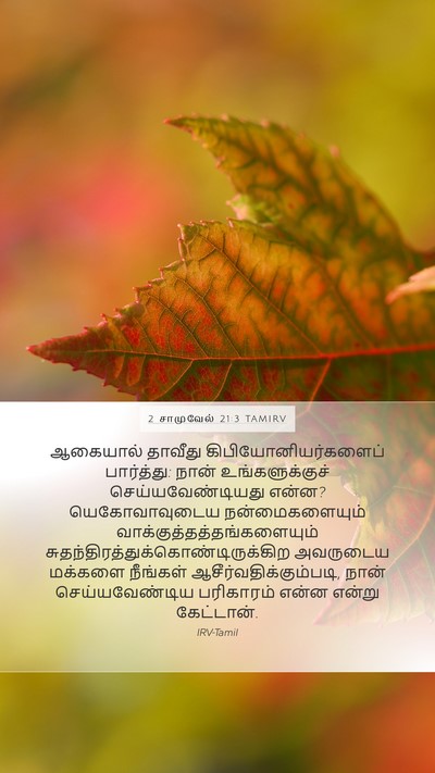 2 சாமுவேல் 21:3 TAMIRV Mobile Phone Wallpaper - ஆகையால் தாவீது - Mobile Bible Verse Wallpaper