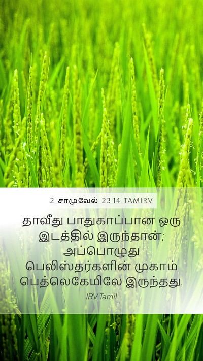 2 சாமுவேல் 23:14 TAMIRV Bible Verse Image